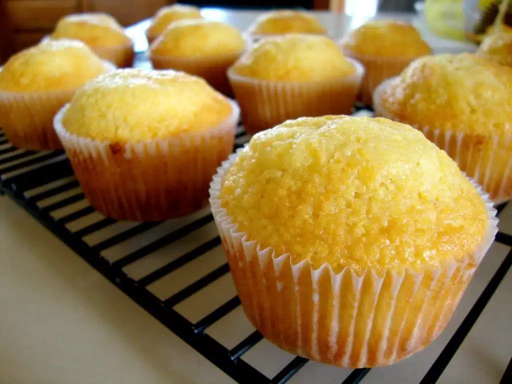 muffin-jagung
