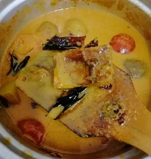Resepi Gulai Ikan Talang Tumis Darat